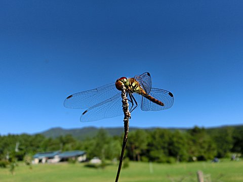 2018/07/13 ～ 07/22 無印良品・カンパーニャ嬬恋