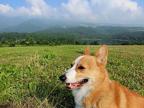 2018/07/13 ～ 07/22 無印良品・カンパーニャ嬬恋