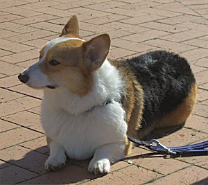 丸洗い