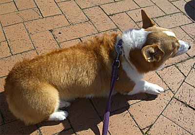 丸洗い