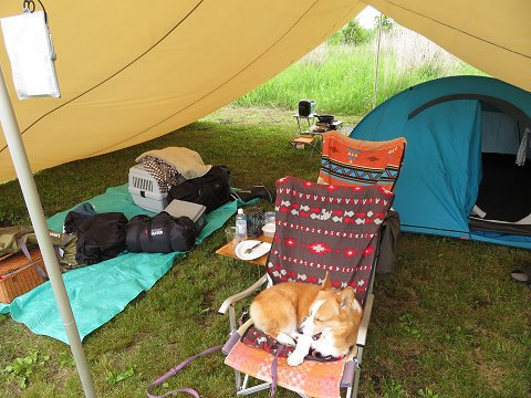 GRANADA in the Field with Corgi:UNIFLAME ビッグタープ 8x6