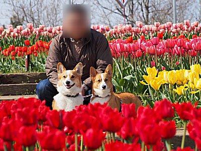 2015/04/12 霞ヶ浦総合公園