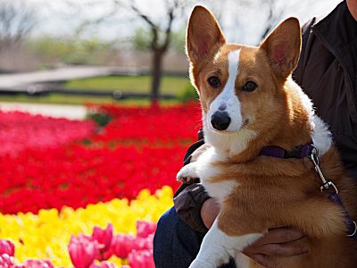 2015/04/12 霞ヶ浦総合公園