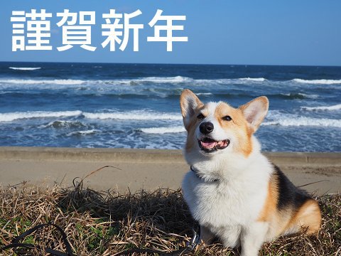 今年も宜しくお願いします
