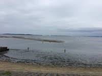 今年ラス前 潮干狩り