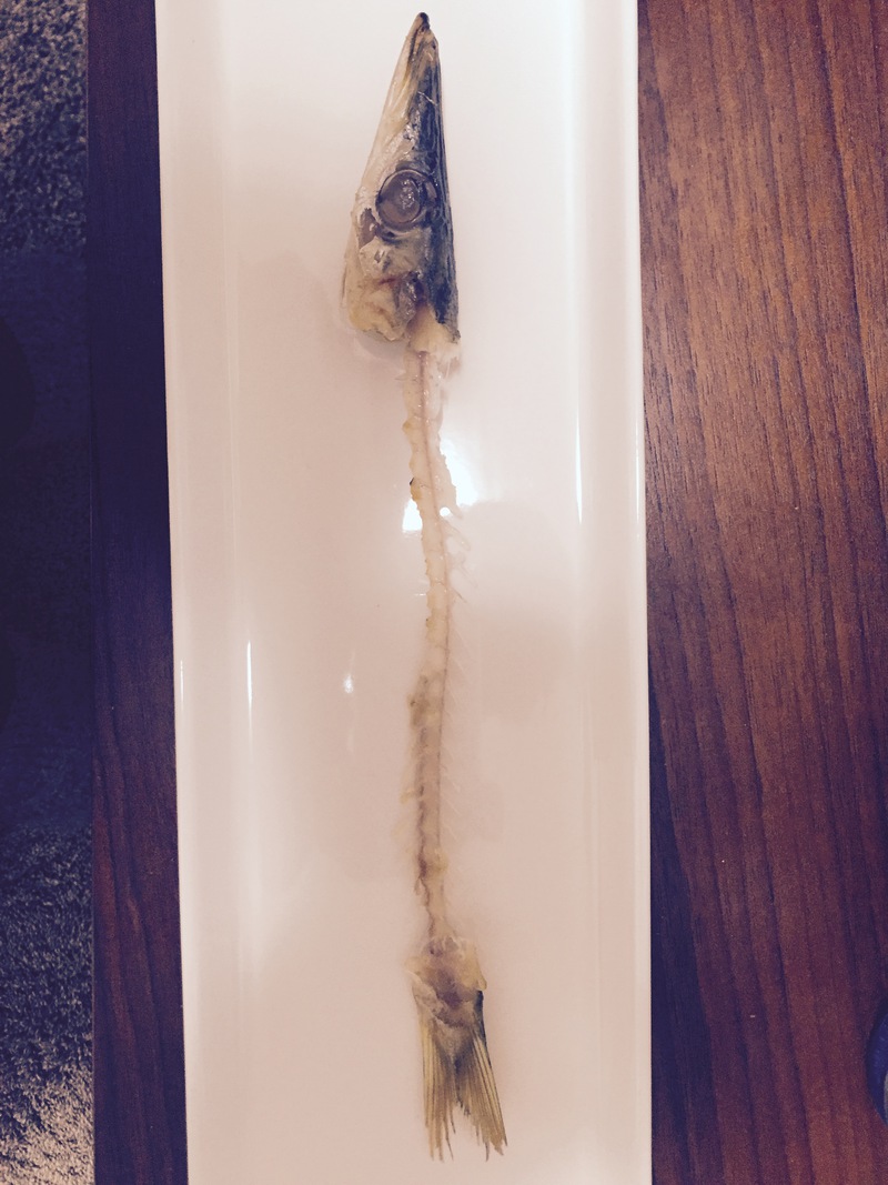 大カマスの塩焼き