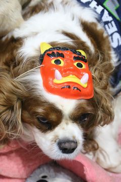 開幕2日前のさっぽろ雪まつり