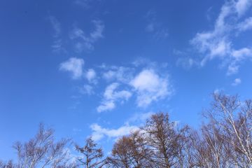 2015年1月の青空