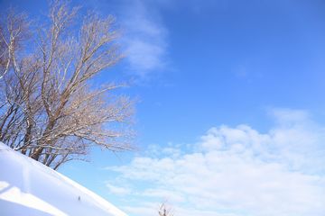 2015年1月の青空