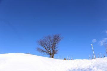 2015年1月の青空