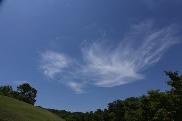 2015年7月の青空