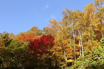 2015年10月の青空