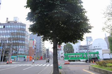 札幌市電風景2014年9月号