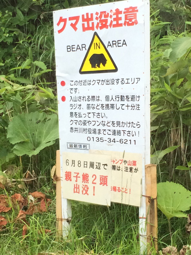 ソロキャンプ