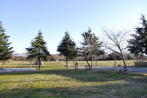 年越しキャンプの記憶．．．成田ゆめ牧場