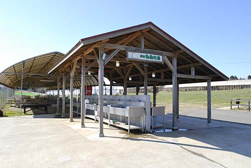 年越しキャンプの記憶．．．成田ゆめ牧場