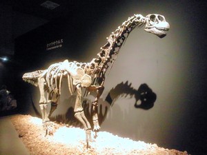 2011　国立科学博物館　恐竜博