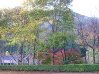 ギャフン・・・フィッシングリゾート上永野