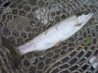 炎上？・・・鬼怒川フィッシングエリア