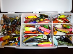 またまた折れとるやんけ～