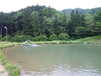 曇天の柏倉フィッシングパーク