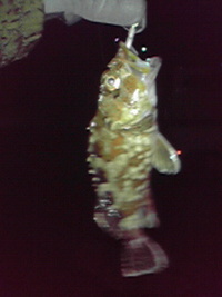 和歌山三重遠征 2008/12/28 15:29:23