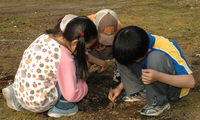 安平町鹿公園キャンプ場
