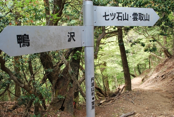 鴨沢～雲取山～三峰神社