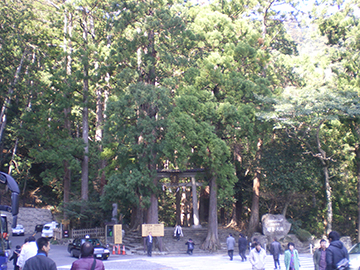 飛瀧神社