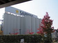 秋を探して（大分・日田）