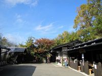 朝風呂ついでに・・。