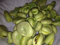 焼き  焼き 2012/05/18 21:03:00