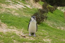 ＧＷ～動物園と農作業