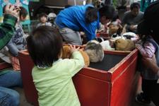 ＧＷ～動物園と農作業