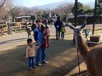 群馬サファリパーク