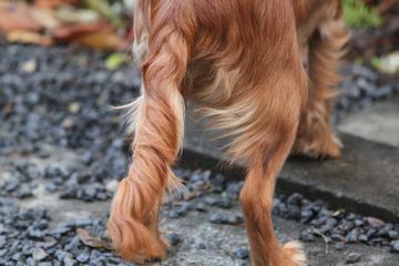 マーサが立った、の続き