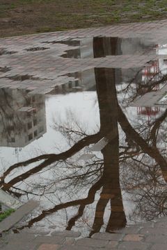 10日間の雨