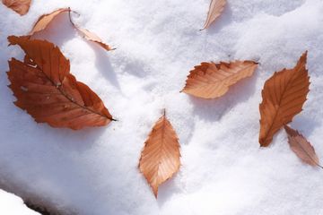 ちょっとした雪景色