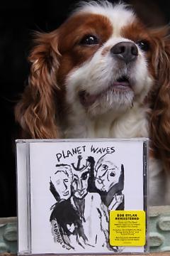 自然と音楽を愛する者:PLANET WAVES ボブ・ディラン