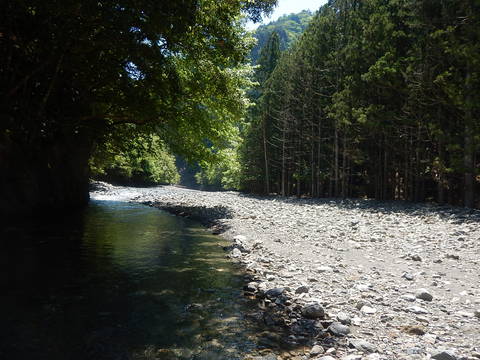 イワナの骨酒、渓流タープ泊（その１）