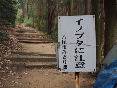 神経痛のリハビリに業平道と恩智越えを歩いてきた