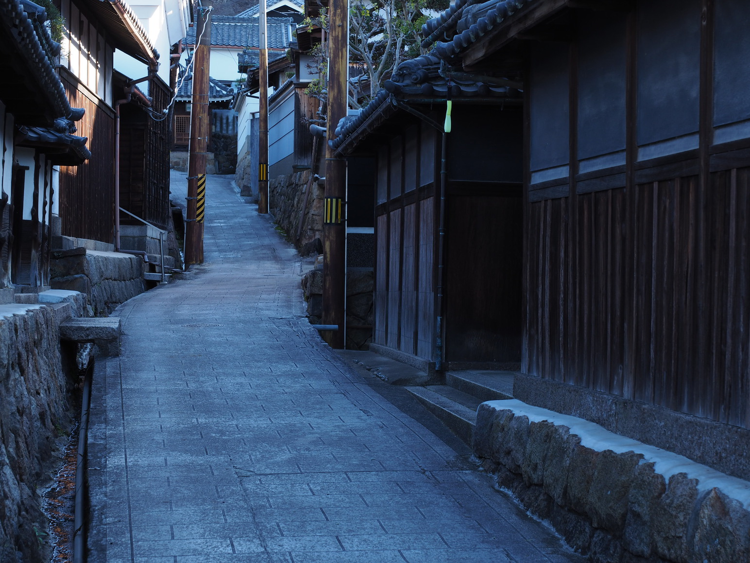 神経痛のリハビリに業平道と恩智越えを歩いてきた