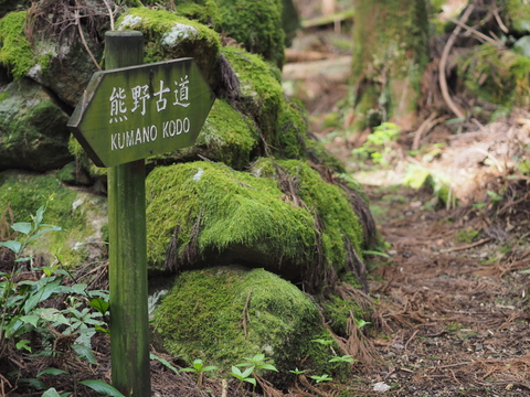 熊野 古道 パック コレクション