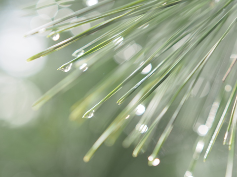 久々の川原で雨宿り野営