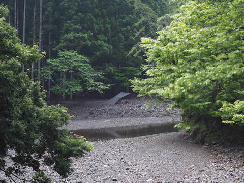 久々の川原で雨宿り野営