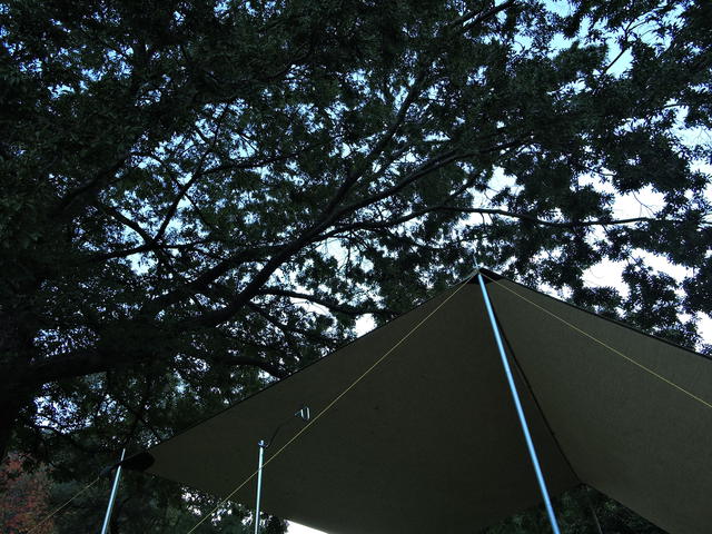 東古屋湖でソロキャンプ
