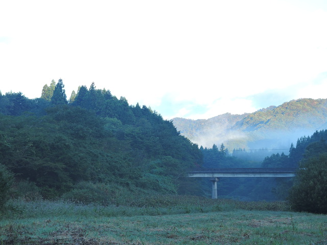 東古屋湖でソロキャンプ