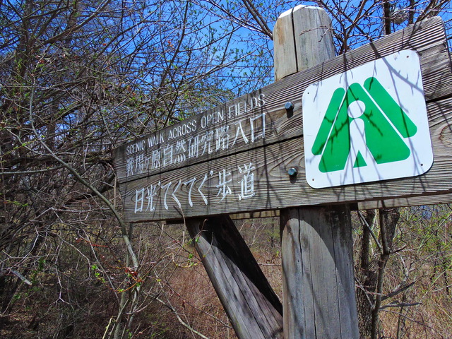 日光中禅寺湖の菖蒲ヶ浜で2泊3日のソロキャンプ！