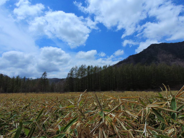 日光中禅寺湖の菖蒲ヶ浜で2泊3日のソロキャンプ！