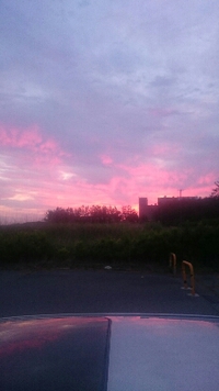 イワシとカサゴとキジハタと 2015/06/13 06:15:04